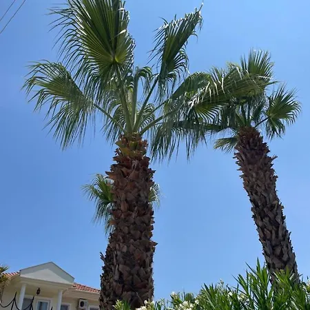 מלון דירות Turtle Bungalows דליאן